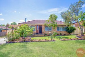 real estate Thornton NSW