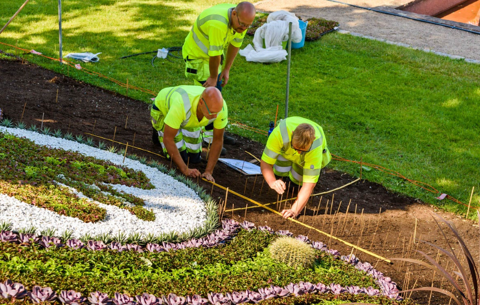 landscaping companies in Auckland